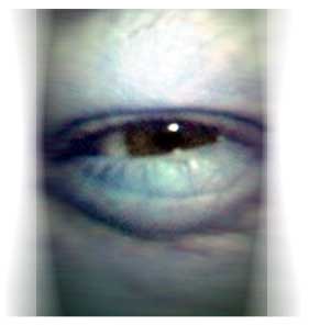 Eye
