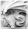 Paranormal Links