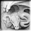 dragon sigtings and reports