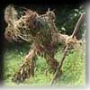 fairy sightings