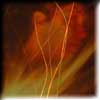 Spontaneous Human Combustion (shc) reports