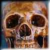 Screaming Skull stories