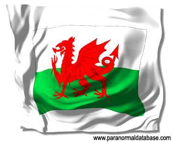 The Welsh Flag