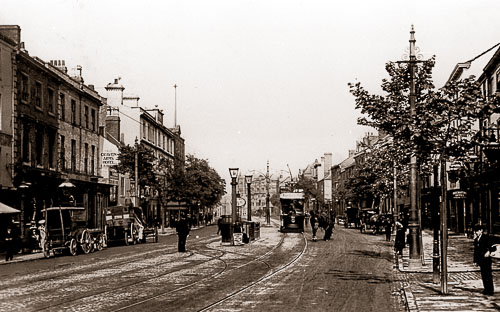 View Leicestershire records