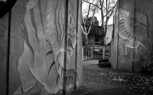 View Alien Big Cats records