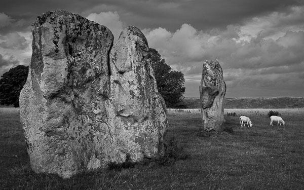 View Avebury records