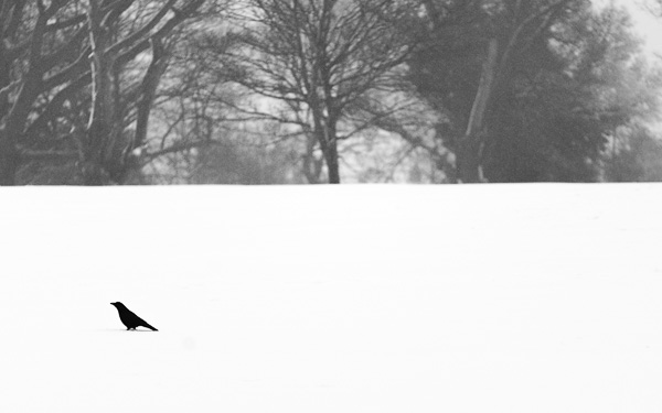 View December records