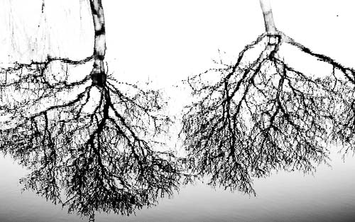 View November records