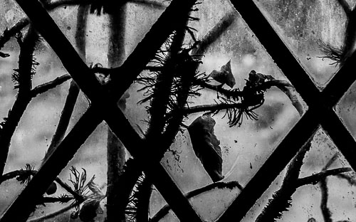 View October records