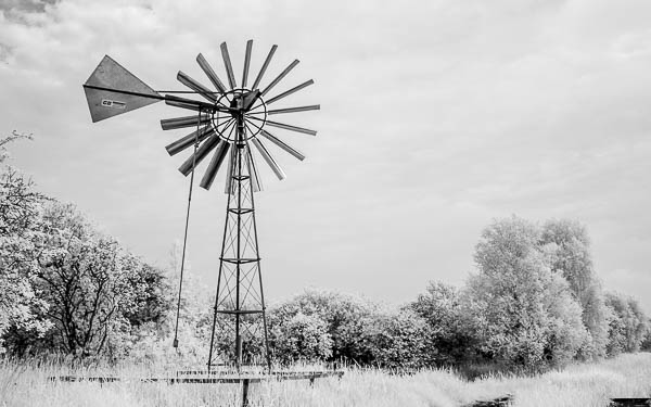 View Cambridgeshire records