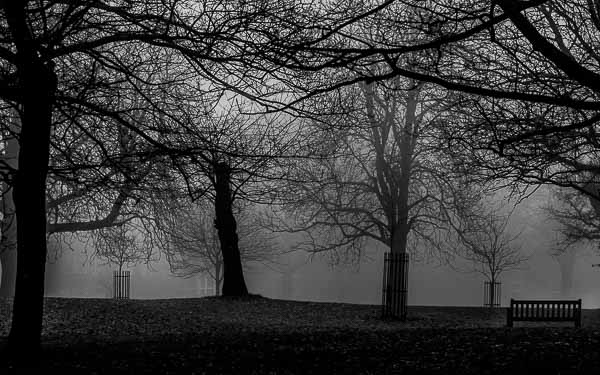 View Ipswich records