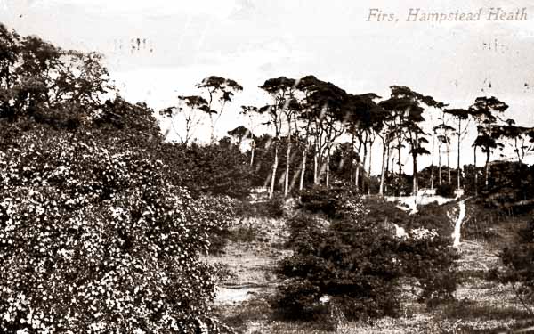 View NW3 District records