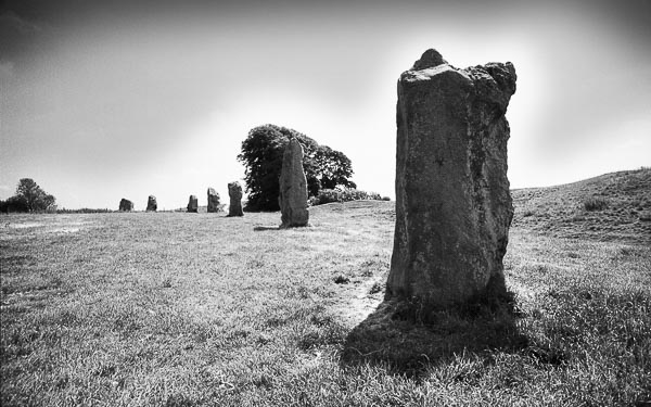 View Wiltshire records
